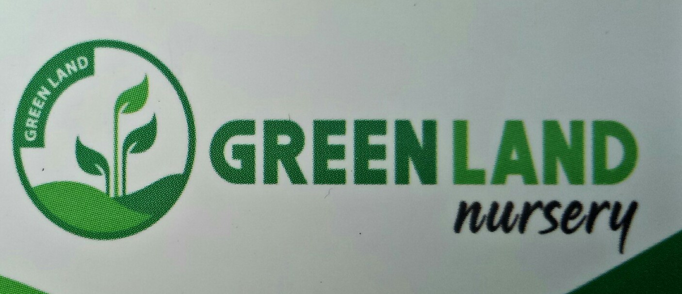 Green Land Nursery Velimadukunnu